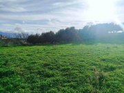 Stalos Kreta, Stalos: Grundstück mit Meerblick zu verkaufen Grundstück kaufen